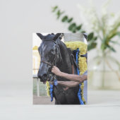 Het Tiz Well, Cotillion Winner Briefkaart (Staand voorkant)