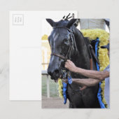 Het Tiz Well, Cotillion Winner Briefkaart (Voorkant / Achterkant)