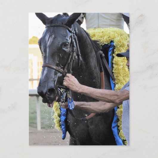 Het Tiz Well, Cotillion Winner Briefkaart (Voorkant)