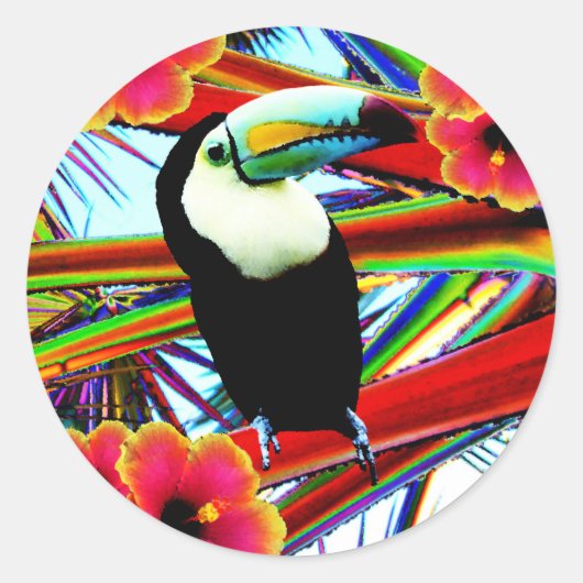 Het Toecan Ronde Sticker (Voorkant)