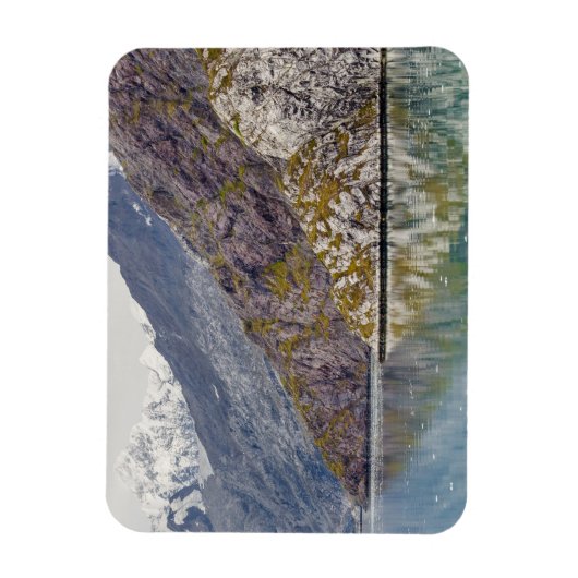 Het tonen van Zijn Strepen Magneet (Verticaal)