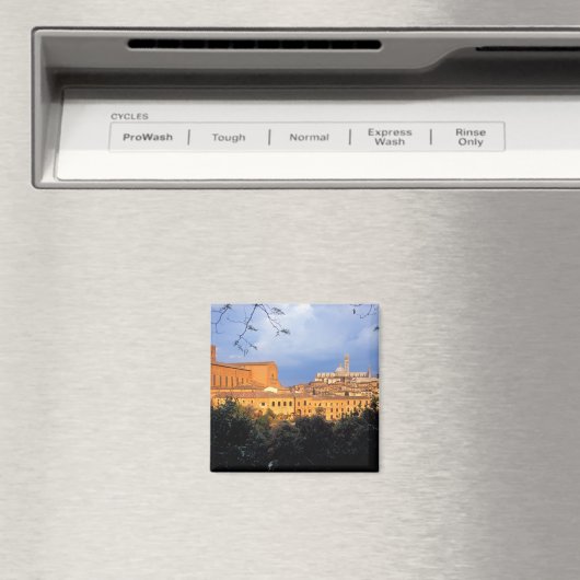 Het Toscaanse dorp Sienna, Italië. Magneet (Insitu (Vaatwasser))