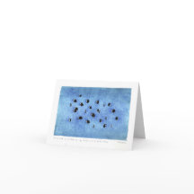 Het treuzelen Chromis