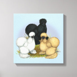 Het Trio van Silkie Canvas Afdruk