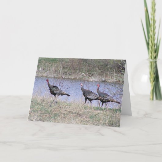 Het Trio van Turkije door Water Feestdagen Kaart (Voorkant)