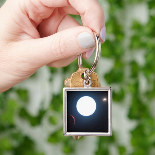 Het Triple Star Systeem HD 131399 Sleutelhanger (Hand)