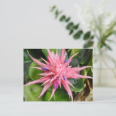 Het tropische Briefkaart van de Schoonheid (Staand voorkant)