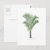 Het tropische collectie van de Palm - afbeelding 3 Briefkaart (Voorkant / Achterkant)