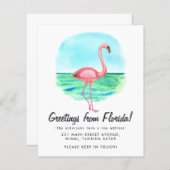 Het Tropische Flamingo van de begroting beweegt Ni (Voorkant / Achterkant)