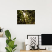 Het tropische regenwoud van de Daintree Poster (Thuiskantoor)