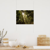 Het tropische regenwoud van de Daintree Poster (Keuken)