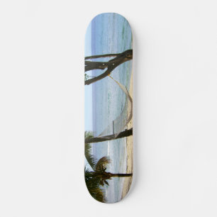 Het tropische Zand van het Strand van het Water Skateboard