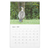 Het tuineiland Kauai Ancient Paradise Kalender (Mar 2027)
