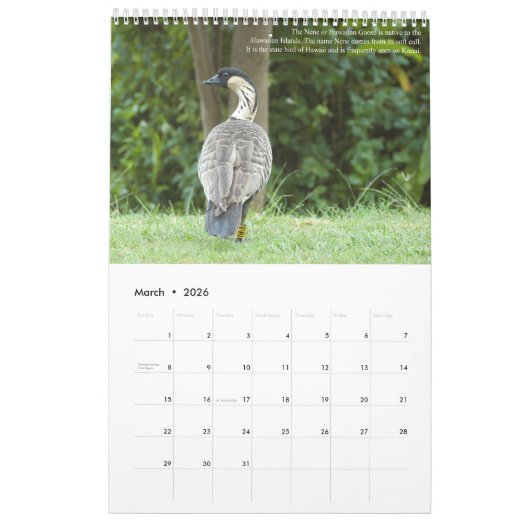 Het tuineiland Kauai Ancient Paradise Kalender (Mar 2026)