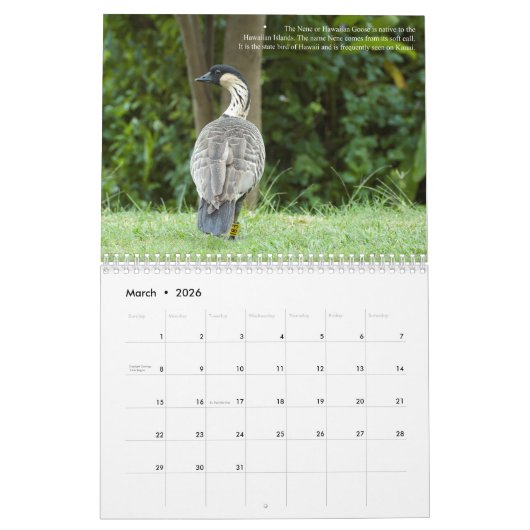 Het tuineiland Kauai Ancient Paradise Kalender (Mar 2026)