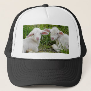 Het tweeling Dierlijke Denken van het Baby van het Trucker Pet