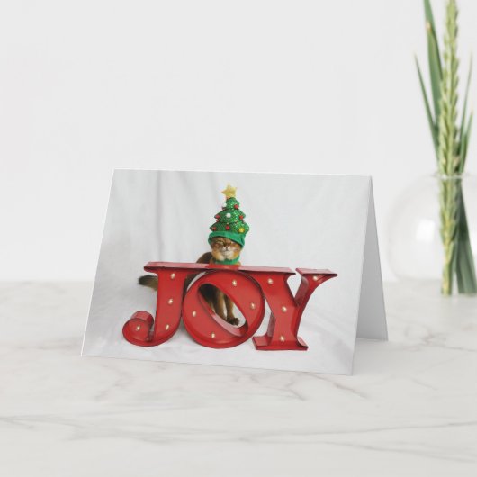 Het twijfelachtige Pet van de Kat van de Kerstboom Feestdagen Kaart (Voorkant)