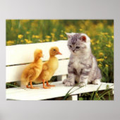 Het Ugly Duck Poster (Voorkant)