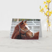 "Het uit elkaar groeien verandert niet…" De Kaart (Gele Bloem)