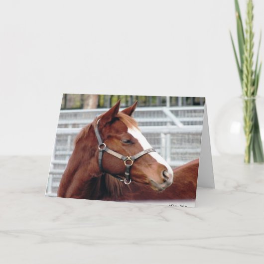 "Het uit elkaar groeien verandert niet…" De Kaart (Voorkant)