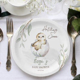 Het uitbroeden snel kleine vogellente baby shower papieren bordje