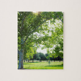 Het uitdagende Golf van de Boom van de Schijf Puzz Legpuzzel