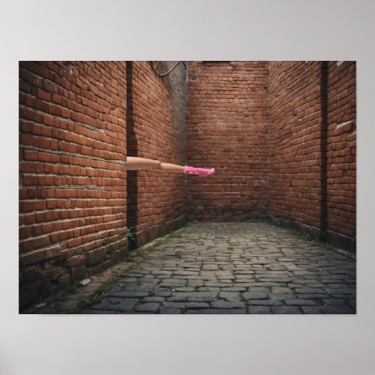 Het Uiterlijk van een enkele Lange Been Poster (Voorkant)
