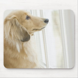 Het uitkijkvenster van de hond muismat