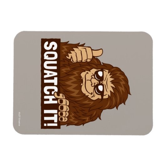 Het uitlijnen magneet (Horizontaal)