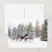 Het uitstrooien van de sneeuw door de paarden briefkaart (Voorkant / Achterkant)