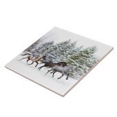 Het uitstrooien van de sneeuw door de paarden tegeltje (Zijkant)