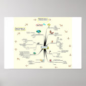 Het uitvindingsproces van Tami Galt Poster (Voorkant)