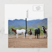 Het Uitzicht Briefkaart (Voorkant / Achterkant)