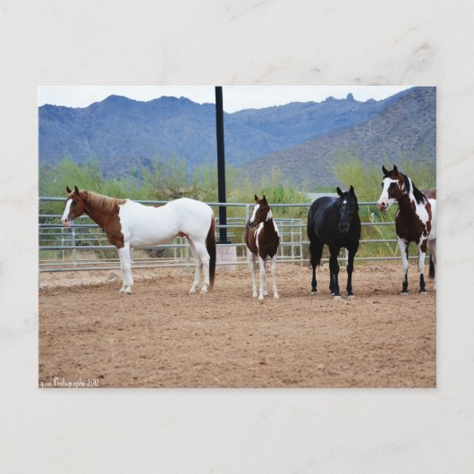 Het Uitzicht Briefkaart (Voorkant)