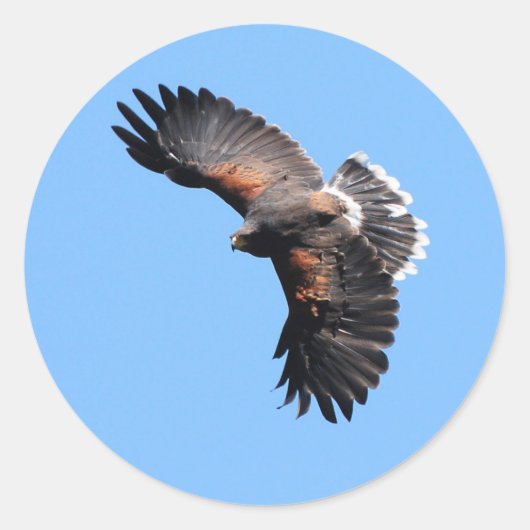 Het uitzicht van bovenaf ronde sticker (Voorkant)