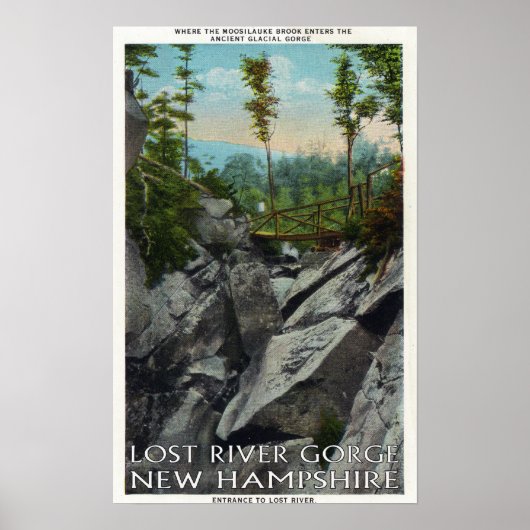 Het Uitzicht van de ingang van een Oude Glaciale G Poster (Voorkant)