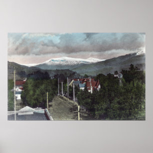 Het Uitzicht van de Topo van CitySanta Paula, CA o Poster