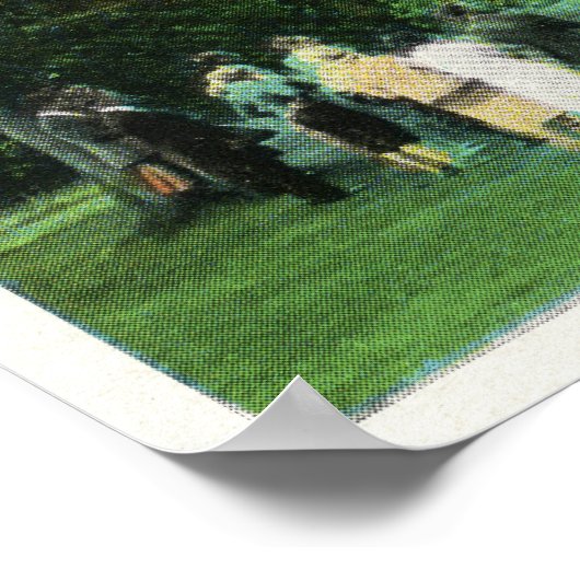 Het Uitzicht van het Hotel van Washington van Golf Poster (Hoek)