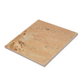 Het Uitzicht van Masada Tegeltje (Zijkant)