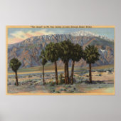 Het Uitzicht van San Jacinto Angel door Palm Trees Poster (Voorkant)