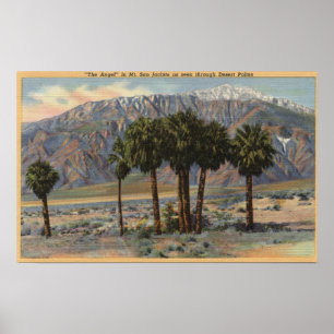 Het Uitzicht van San Jacinto Angel door Palm Trees Poster