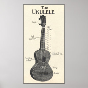 Het Ukulele Poster