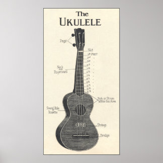 Het Ukulele Poster
