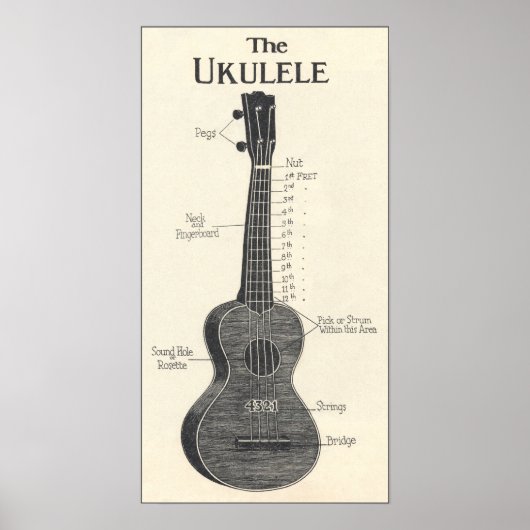 Het Ukulele Poster (Voorkant)