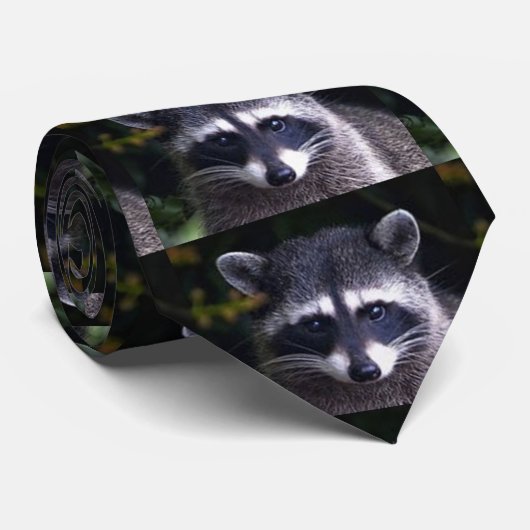 HET ULTIEME "RACOON-STROPDAS" STROPDAS (Opgerold)