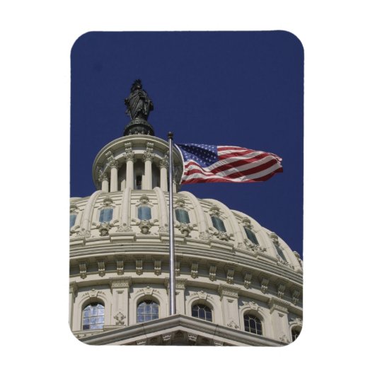 Het United States Capitol, Washington, DC Magneet (Verticaal)