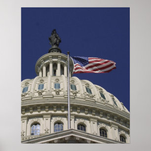 Het United States Capitol, Washington, DC Poster