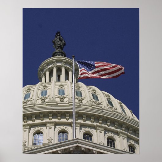 Het United States Capitol, Washington, DC Poster (Voorkant)