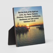 HET UPLIFEREN VAN SUNSET FRUITS VAN HET SPIRIT ONT FOTOPLAAT (Voorkant)