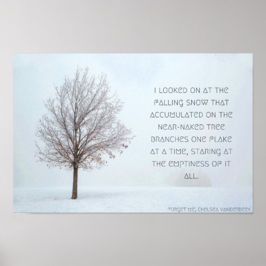 Het vallen Poster van de Sneeuwsneeuw, Versie 1 (Voorkant)